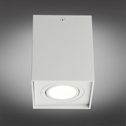 OML-101109-01
