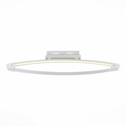Накладной светильник ST-Luce SL920.102.01