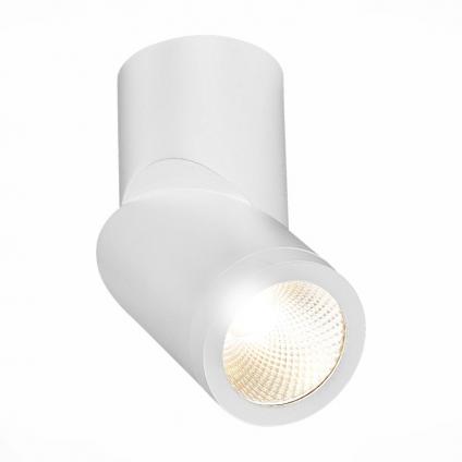 Влагозащищенный светильник ST-Luce ST650.532.10