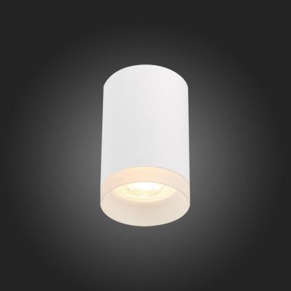 Накладной светильник ST-Luce ST100.502.01