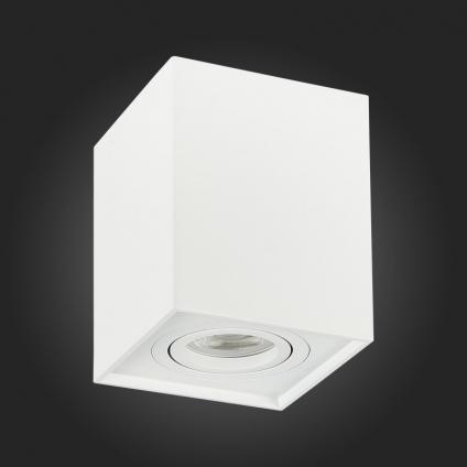 Накладной светильник ST-Luce ST109.507.01