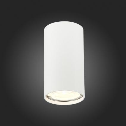 Накладной светильник ST-Luce ST110.507.01
