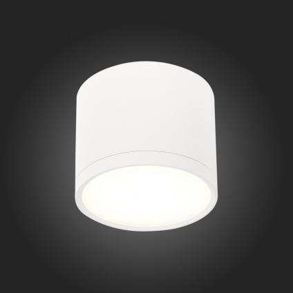 Накладной светильник ST-Luce ST113.542.09