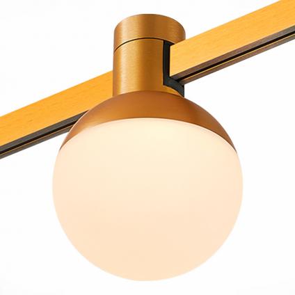Светильник на шине ST-Luce ST815.206.05