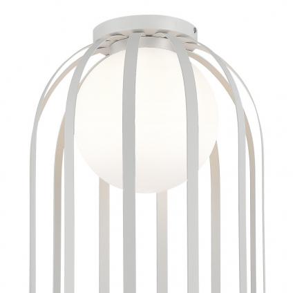 Накладной светильник ST-Luce SL6129.502.01