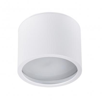 A5543PL-1WH Светильник потолочный накладной INTERCRUS для GX53 Ø80x60мм белый IP44